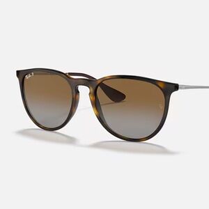 Ray-Ban Erika Polarized Sunglasses